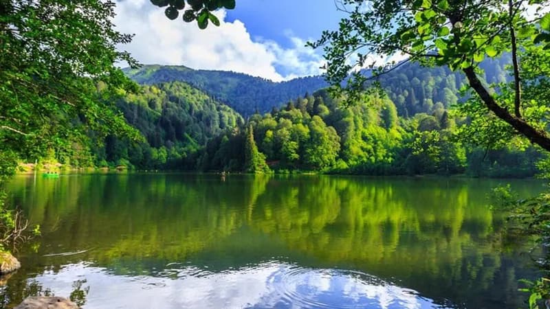 Doğa Nedir ve Neden Korunmalıdır? İşte Bilmeniz Gerekenler
