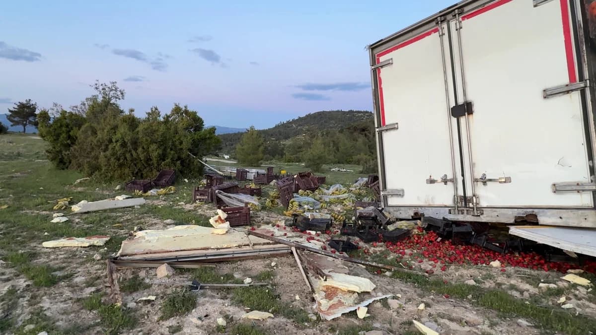 Freni Boşalan Sebze Yüklü TIR, Ağaçla Çarpıp Durabildi
