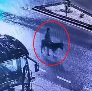 Kayseri’de Kuyumcudan Eşekle Kaçan Hırsız İçin 16 Yıl Hapis İstemi