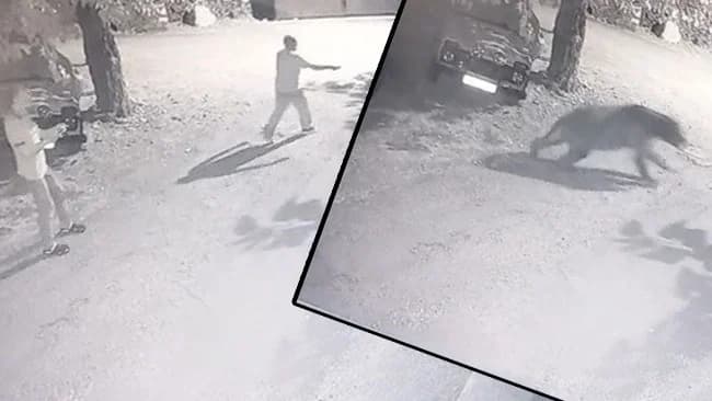 Erzincan’da Köylüler Ayıyı Fenerlerle Kovaladı: Gece Yarısı Sıradışı Anlar