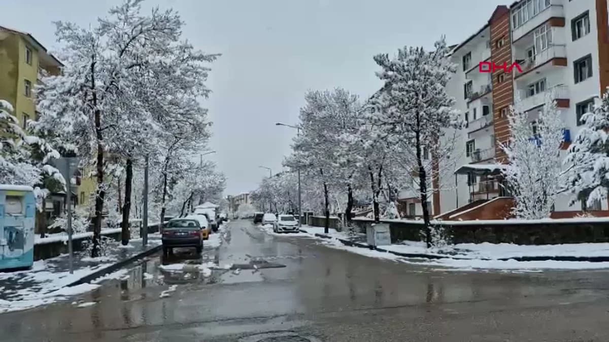 Erzurum ve Ardahan’da Etkili Kar Yağışı: Ulaşımda Zorluklar Baş Gösterdi