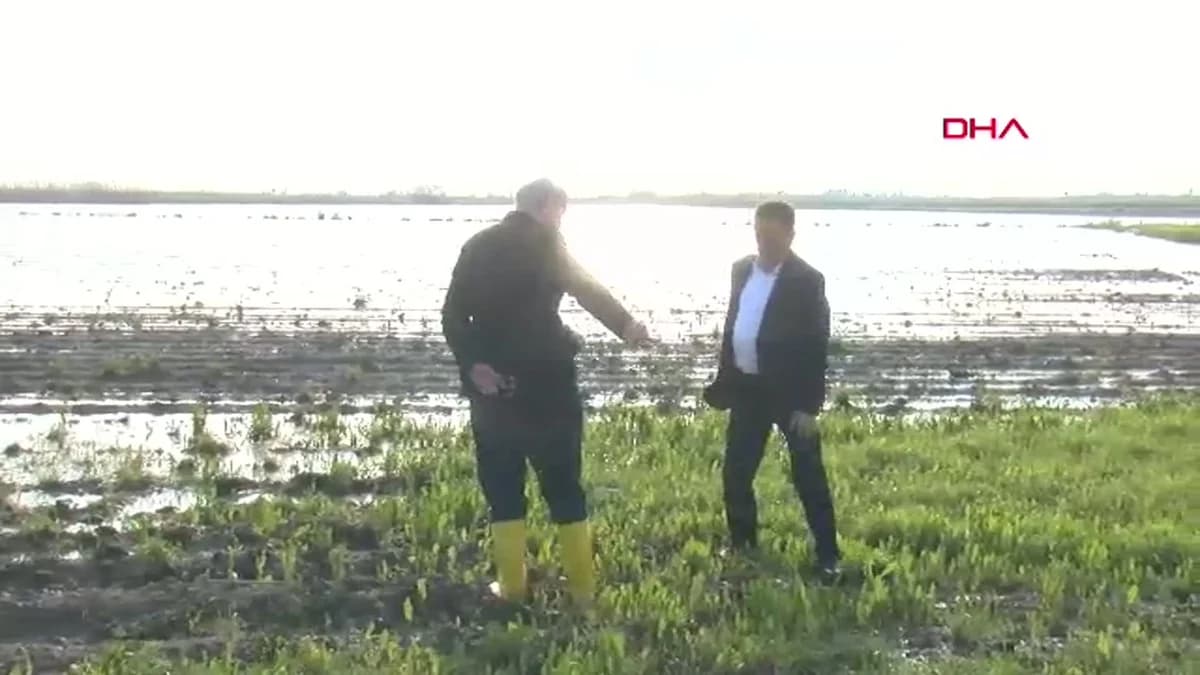 Adana’da Sel Felaketi: 36 Bin Dönüm Tarım Alanı Su Altında Kaldı