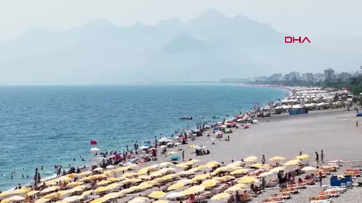 Akdeniz’de Tropikal İstilası: Yerli Türler Tehdit Altında, Ekosistem Dengesi Bozuluyor