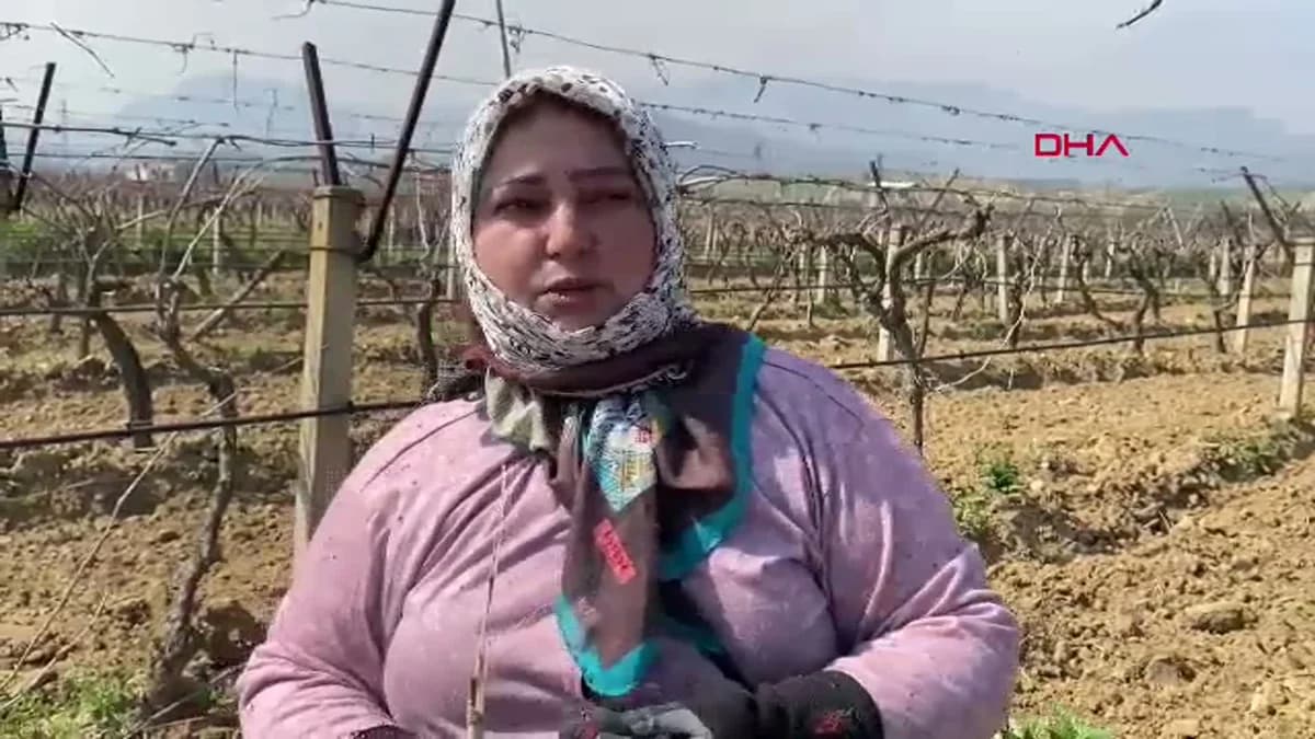 Manisa Barajlarındaki Doluluk Oranı Yüzde 75’e Ulaştı