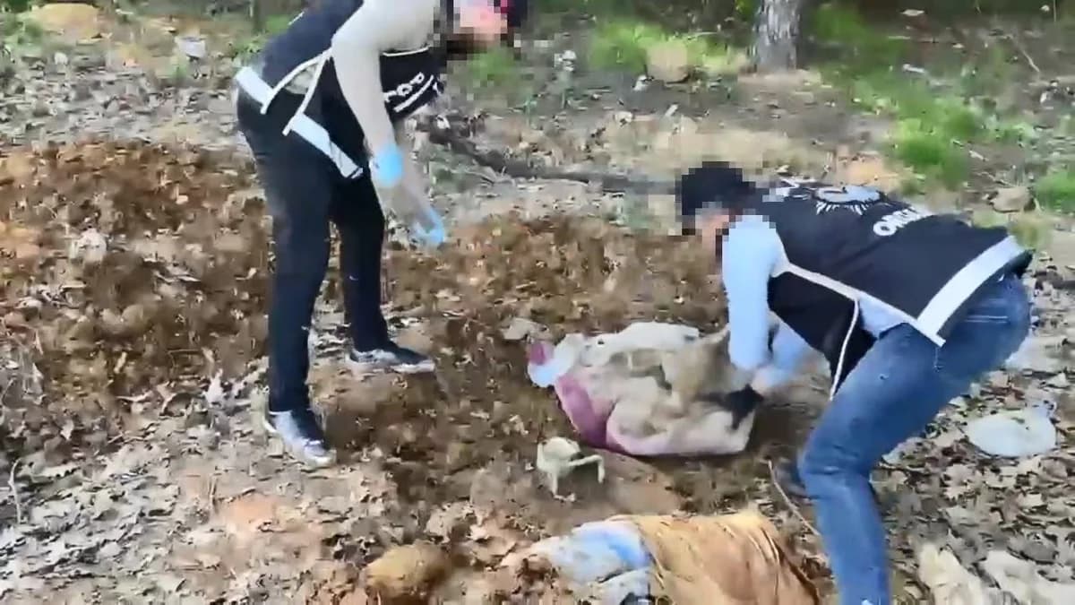 Pendik’te Toprak Altında Devasa Silah Parçası Deposu: Binlerce Parça Ele Geçirildi