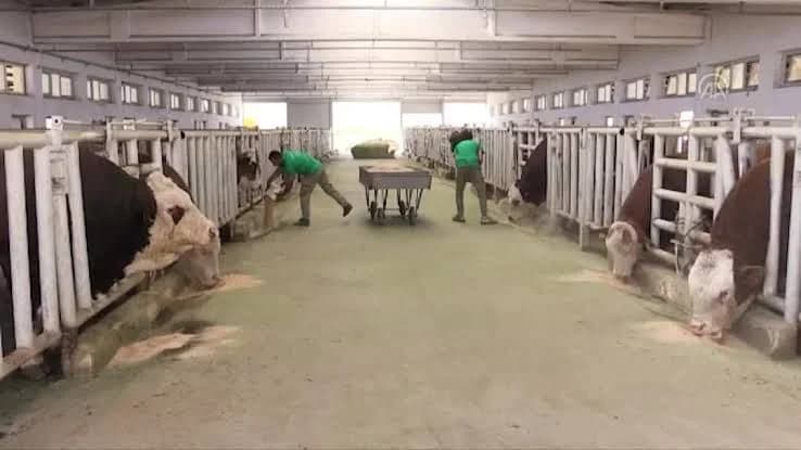 Malatya’da Şap Hastalığı Uyarısı: TİGEM Karantinaya Alındı