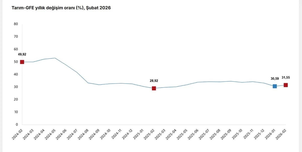 Tarımsal Girdi Fiyatları Şubatta Yüzde 31,55 Arttı