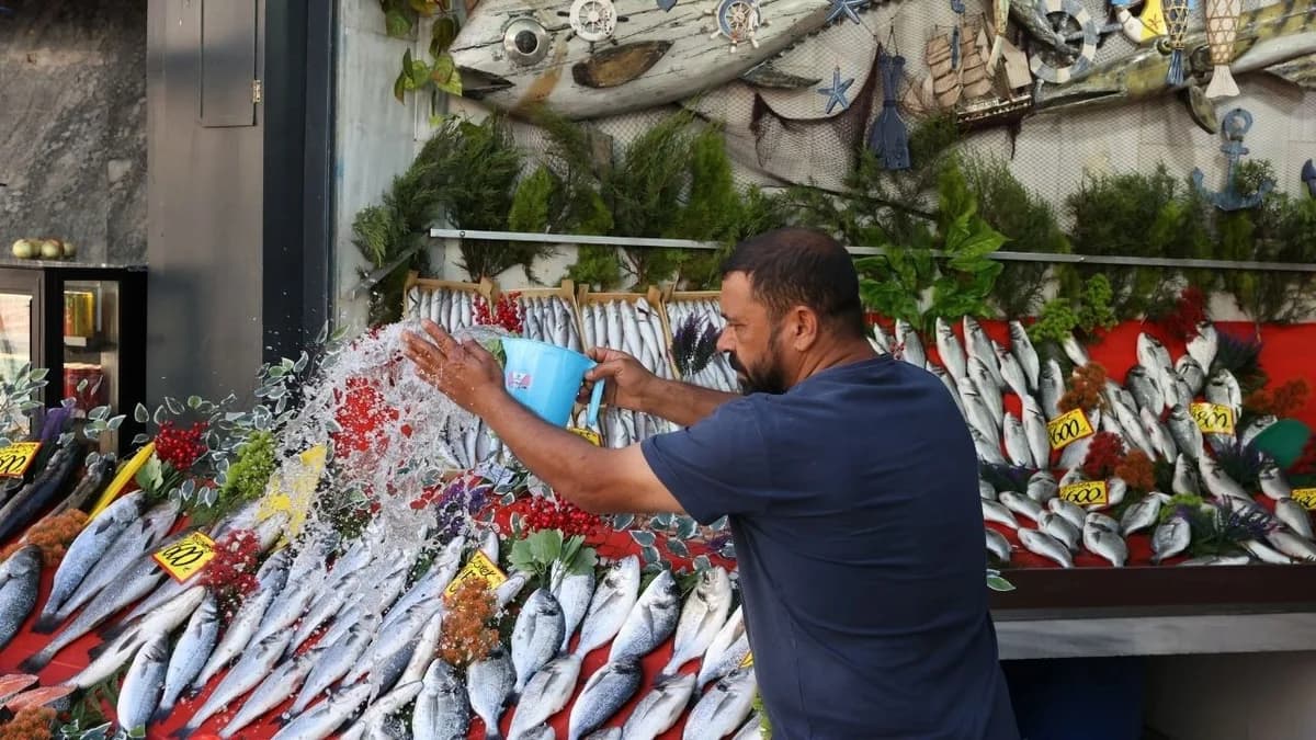 Balık Avı Yasağı Kalktı: Tezgahlarda Hamsi Fiyatları Şoke Ediyor!