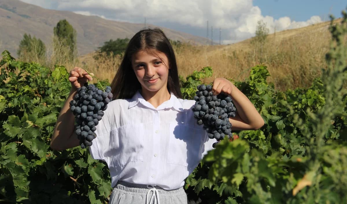 Erzincan’ın Lezzetleri ‘Slow Food Ark of Taste’ Listesine Girdi