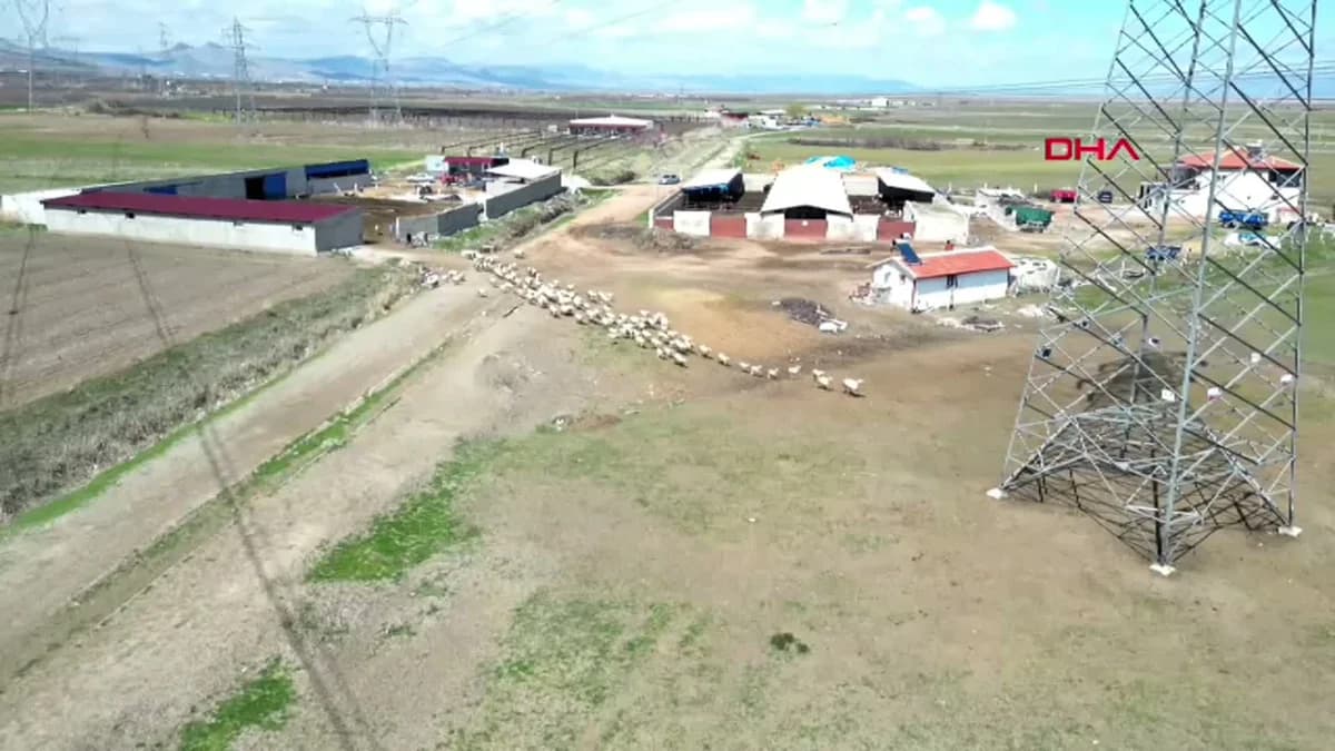 Kayseri’de 200 Kuzu Annesiyle Kavuşturuldu: Dron Kamerasında Gözüktü