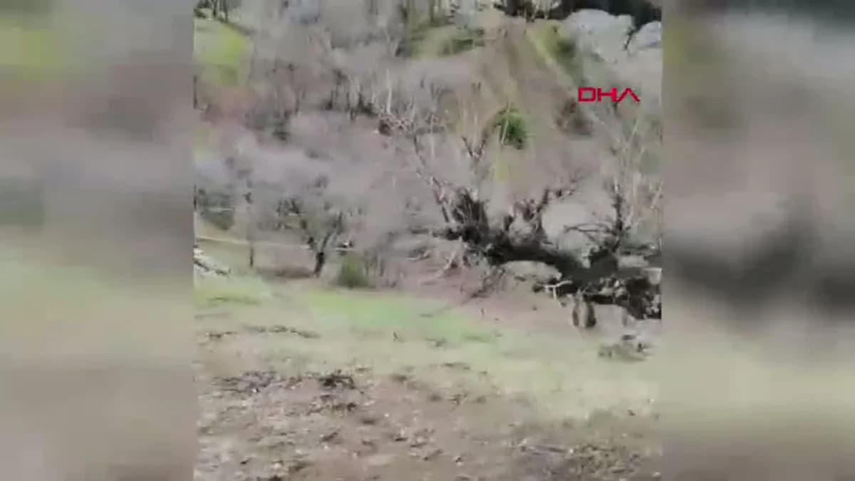 Diyarbakır’da Şok Edici Bulgu: Başsız Ceset