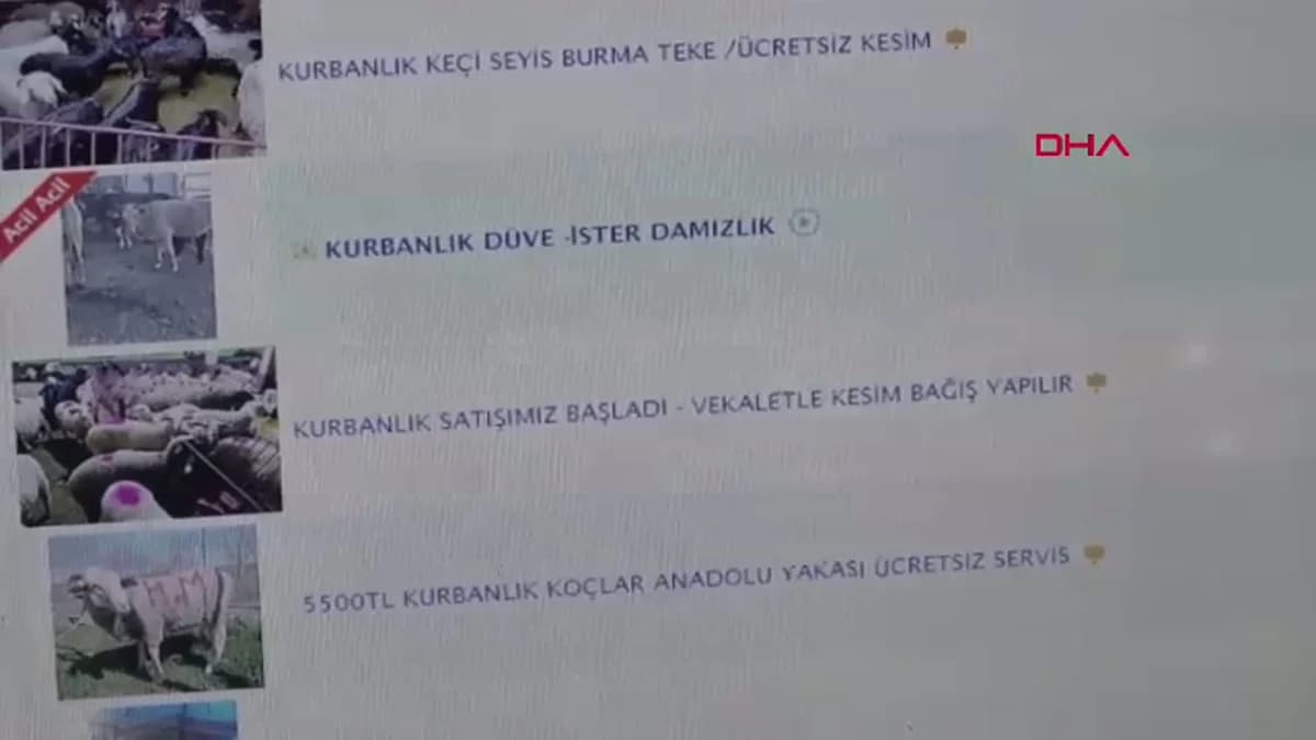 Kurban Bayramı’nda İnternetten Alışveriş Yapacaklara Önemli Uyarılar: Sahte İlan ve Dolandırıcılık Tehlikesi!