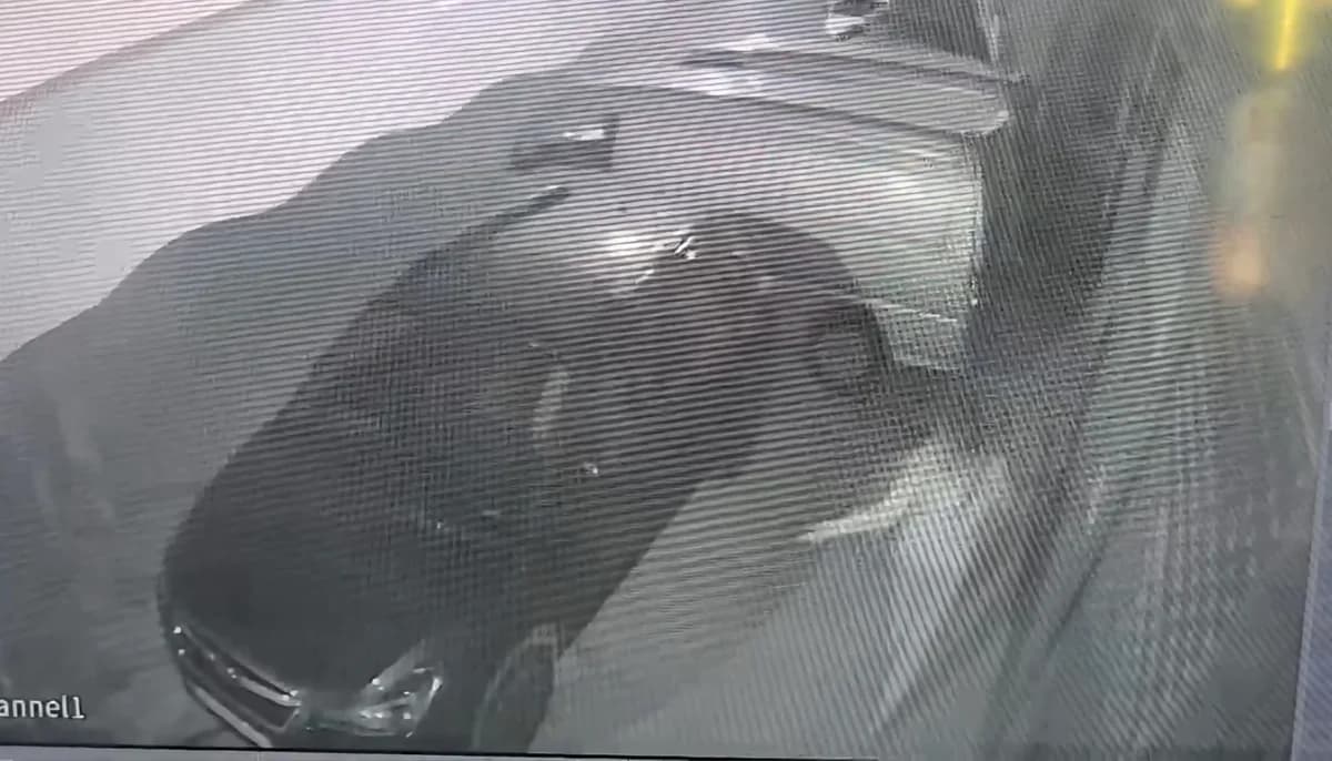 Bursa’dan Beyoğlu’na Gelen Eski Sevgili, Kadın Arkadaşını Silahla Vurdu!