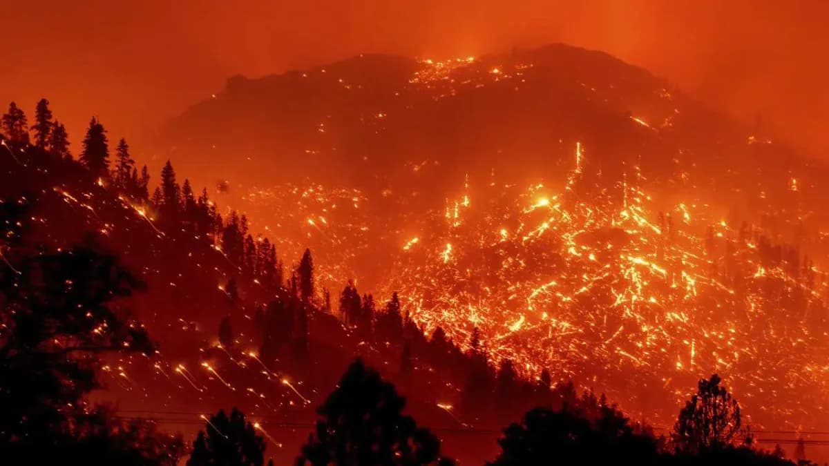 Kaliforniya’daki orman yangınları büyüyor: Los Angeles’ta sel ve heyelan alarmı