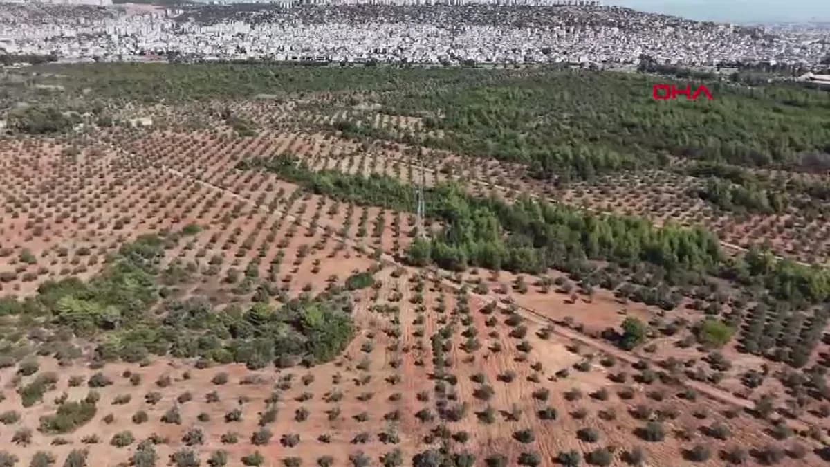 Topraksız Çiftçiler Toprak Sahibi Oldu: 1,1 Milyon Dekarlık Devrim