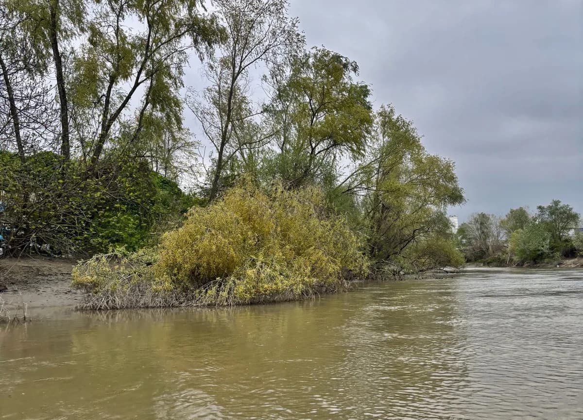 Sakarya Nehri’nde Kaybolan 10 Yaşındaki Ahmet’ten 7 Gündür Haber Yok