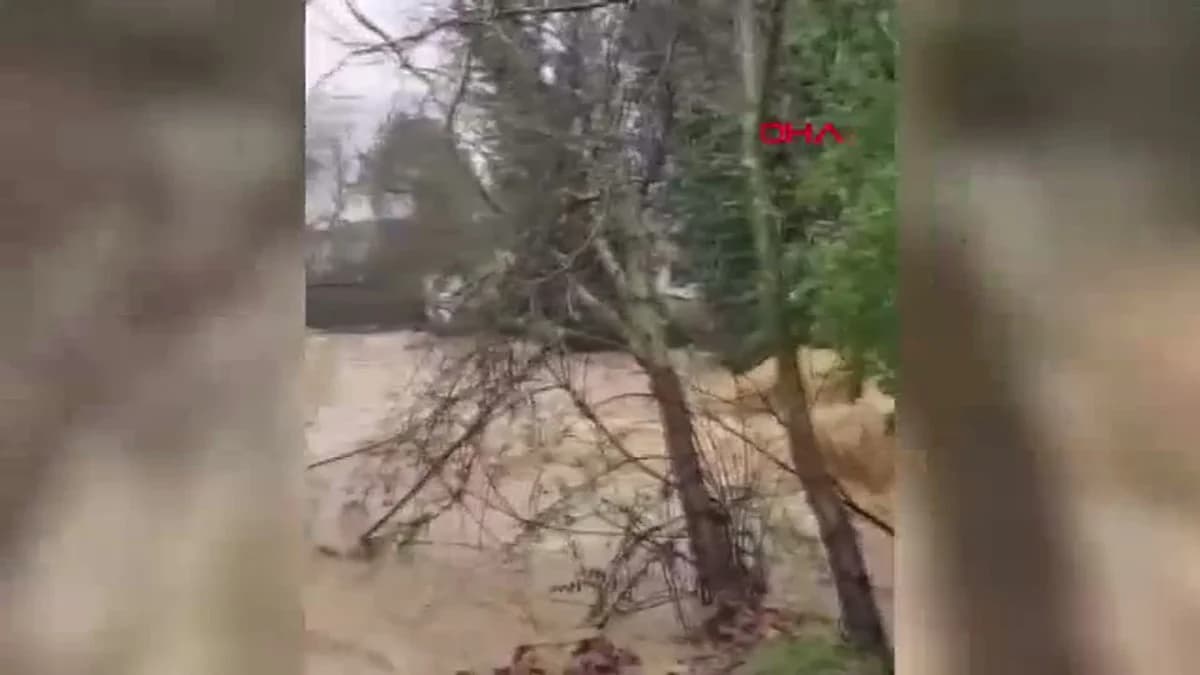 Yalova’da Sağanak Yağışlar Dereleri Taşırdı, 5 Büyükbaş Hayvan Hayatını Kaybetti