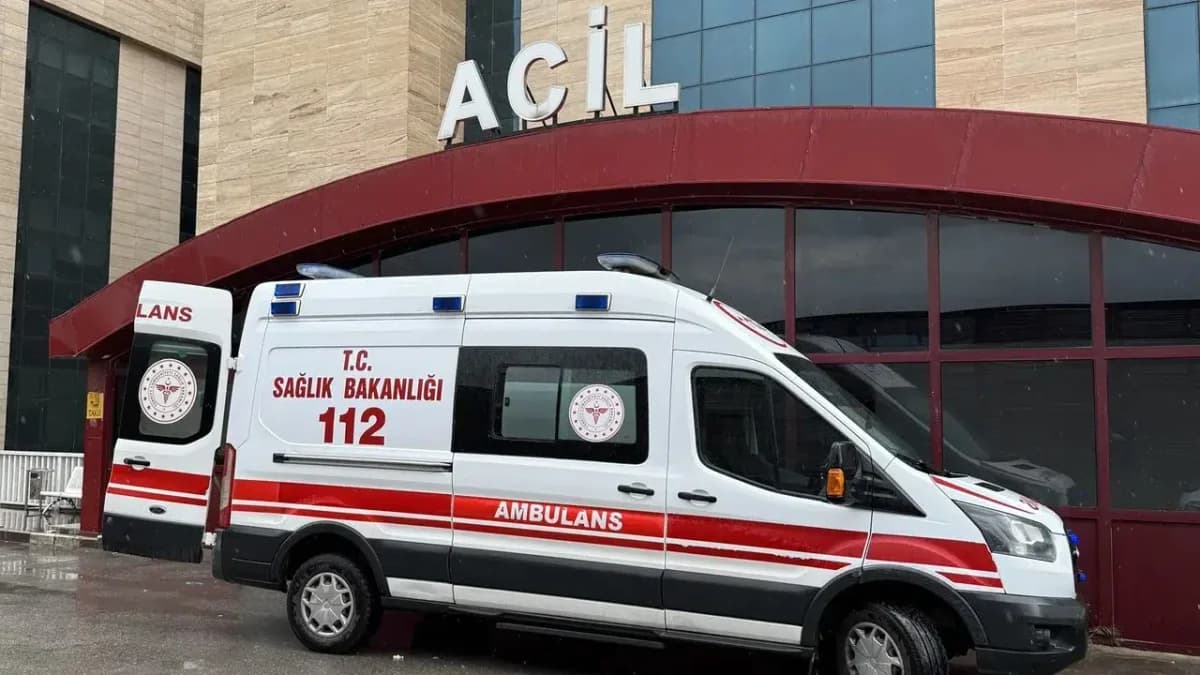 Giresun’da Arı Sokması Faciası: 50 Yaşındaki Kadın Hayatını Kaybetti