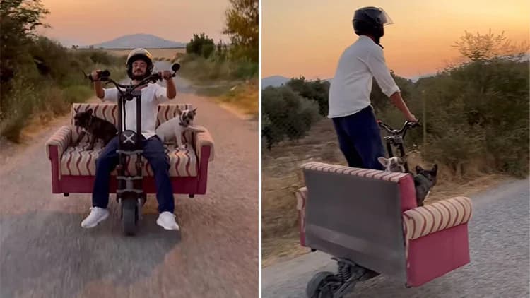Muğla’da Vatandaş Scootere Koltuk Monte Edip Köpekleriyle Keyif Yaptı