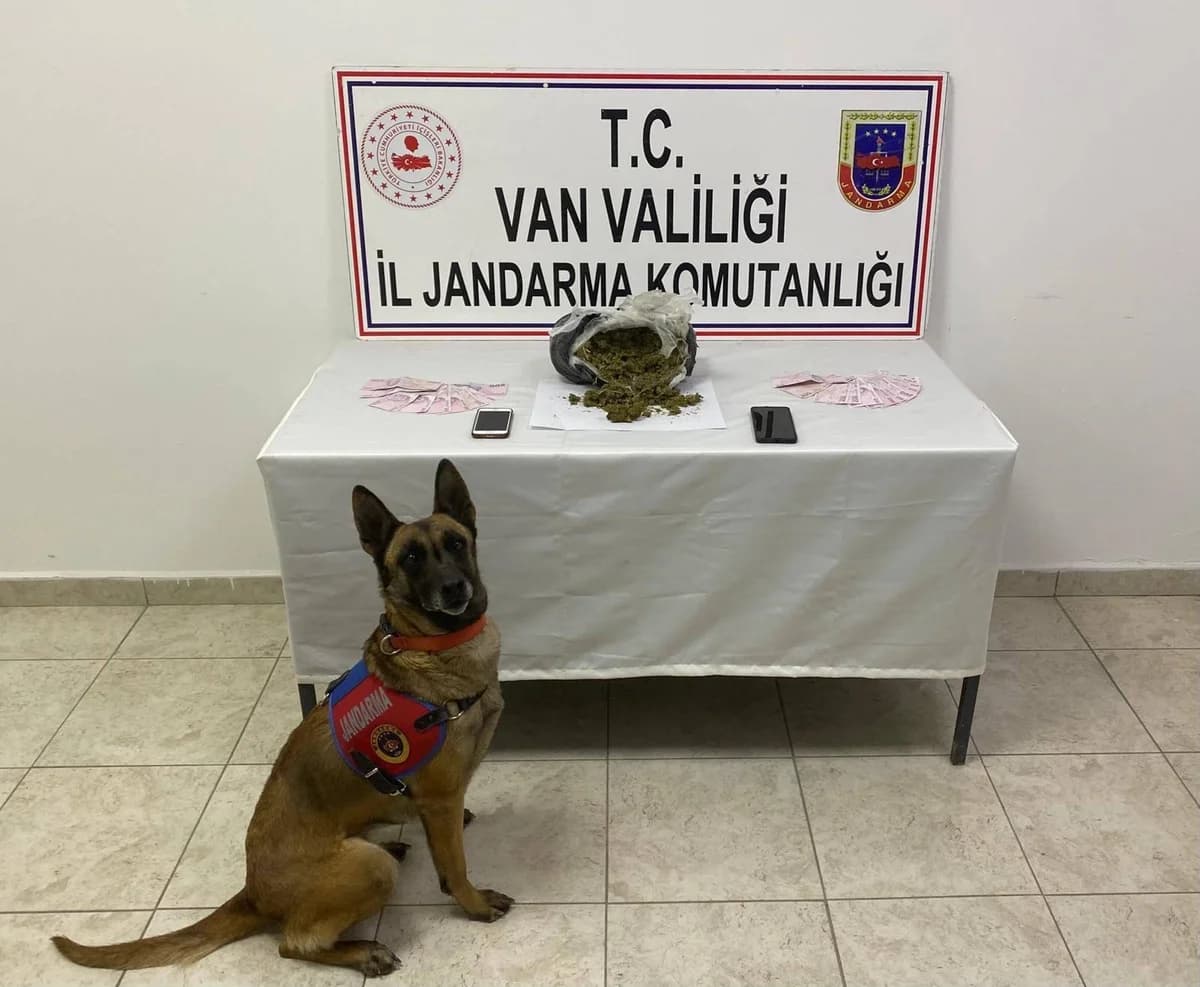 İpekyolu’nda Mezarlık Yakınında Uyuşturucu Operasyonu: 1 Kilo Skunk Ele Geçirildi