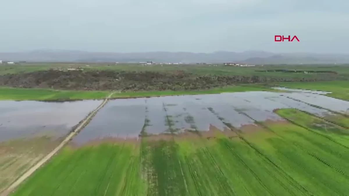 Gaziantep’te Su Altında Kalan Tarım Arazileri için Tahliye Çalışmaları Devam Ediyor