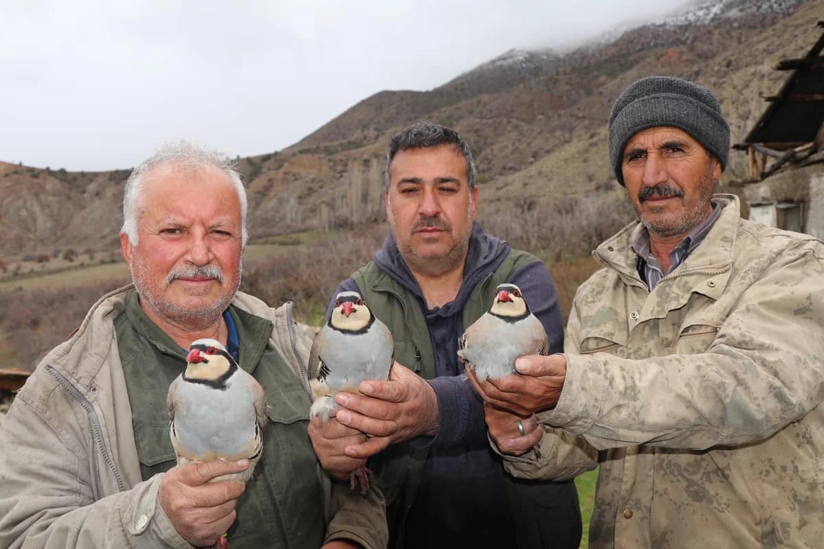 Oltu’da 350 Kınalı Keklik Halkalandı: Doğa Koruma Çalışmaları Devam Ediyor