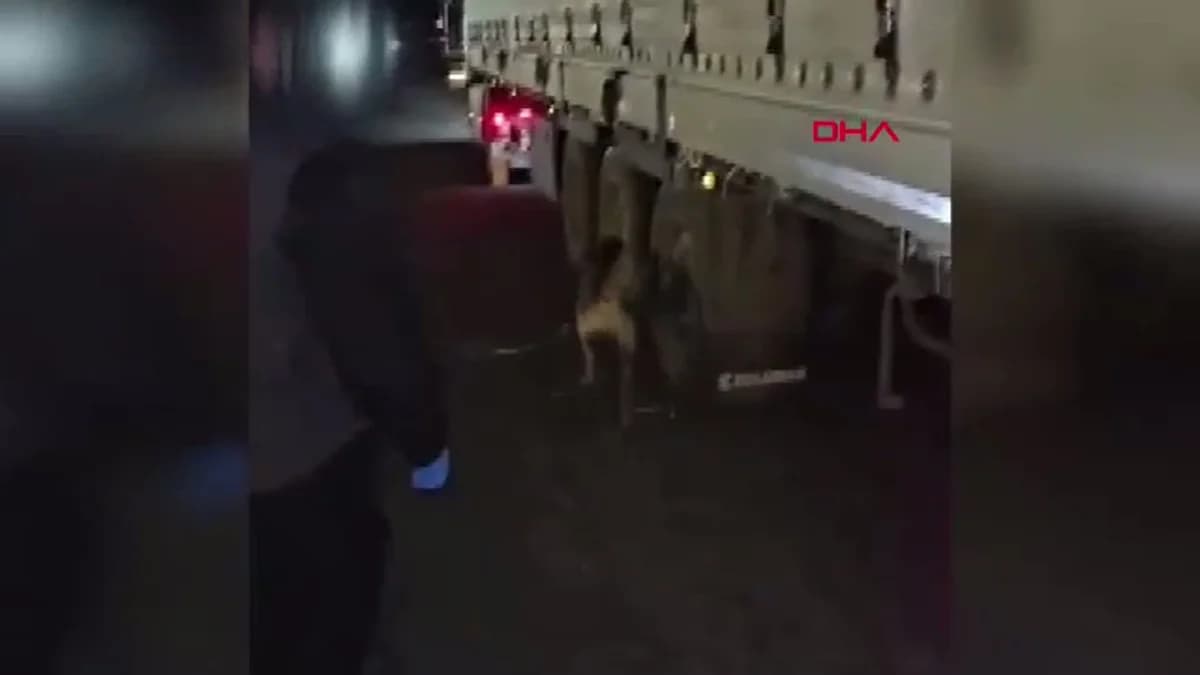 Diyarbakır’da Durdurulan TIR’da 81 Kilo Metamfetamin Ele Geçirildi