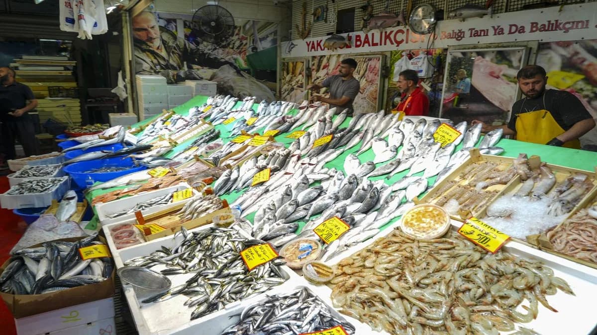 İstanbul Balık Tezgâhları Şenlendi: Küçük Balık Fiyatları Ne Durumda?