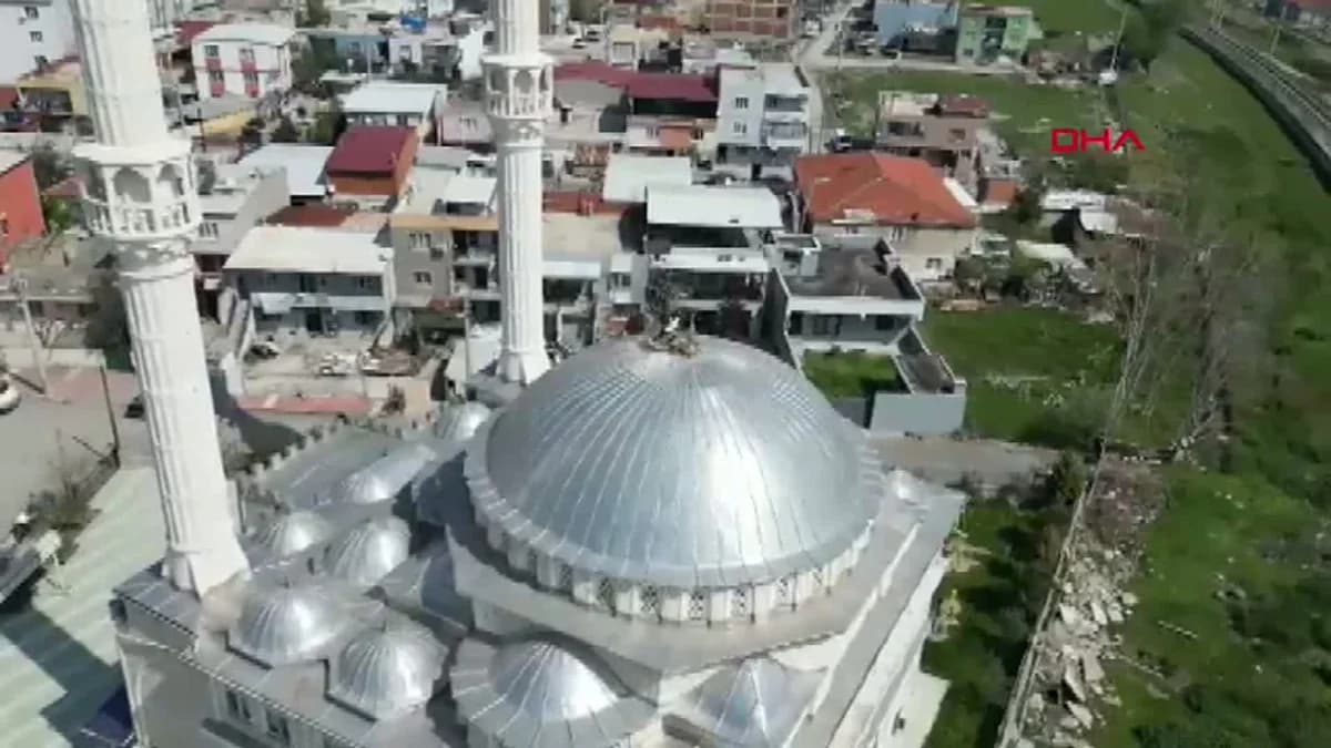 Leylek Çifti 6 Yıldır Manisa’daki Cami Kubbesini Şenlendiriyor