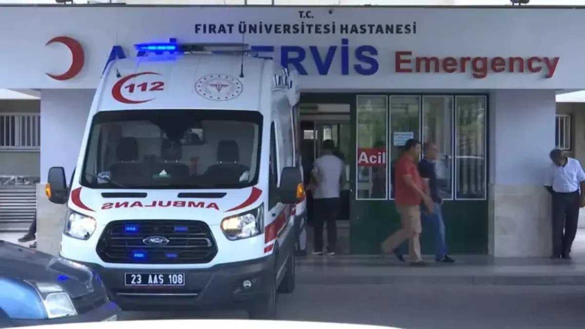 Elazığ’da Feci Ölüm: Eşeğin Sürüklediği 12 Yaşındaki Meryem Hayatını Kaybetti
