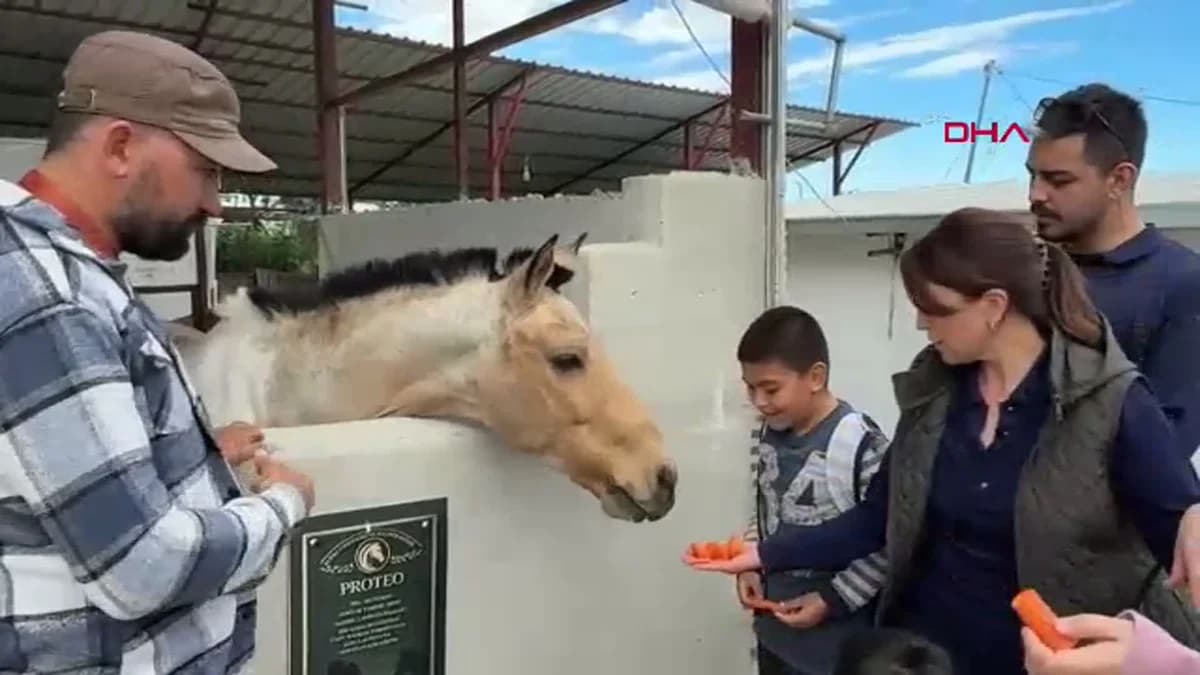Mersin’de Otizm Farkındalık Günü’nde Atla Terapi Etkinliği Düzenlendi