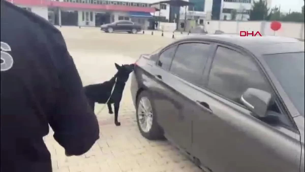 Adana’da Nefes Kesen Operasyon: Otomobil Bagajından Çuvallarla Esrar Çıktı!