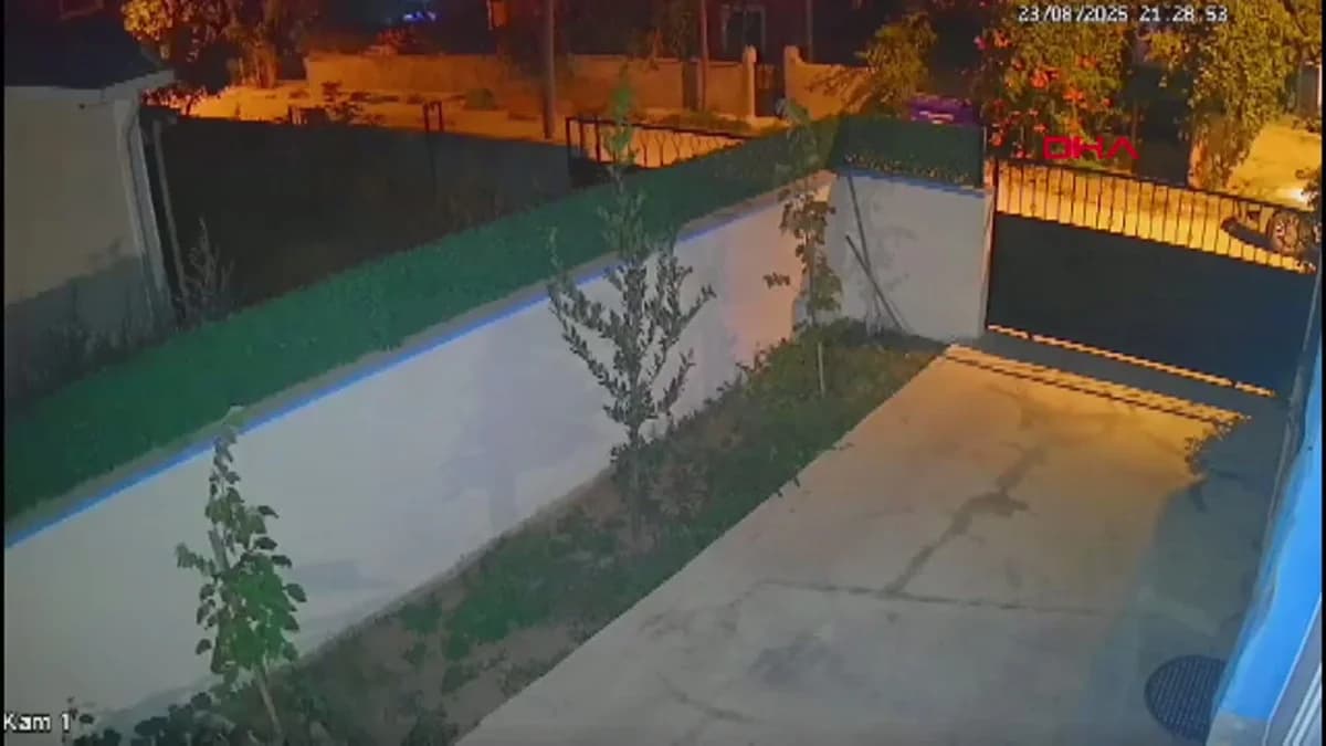 Edirne’de Sokak Kedisine Tüfekle Ateş Eden Şüpheliye 5 Ay Hapis Cezası