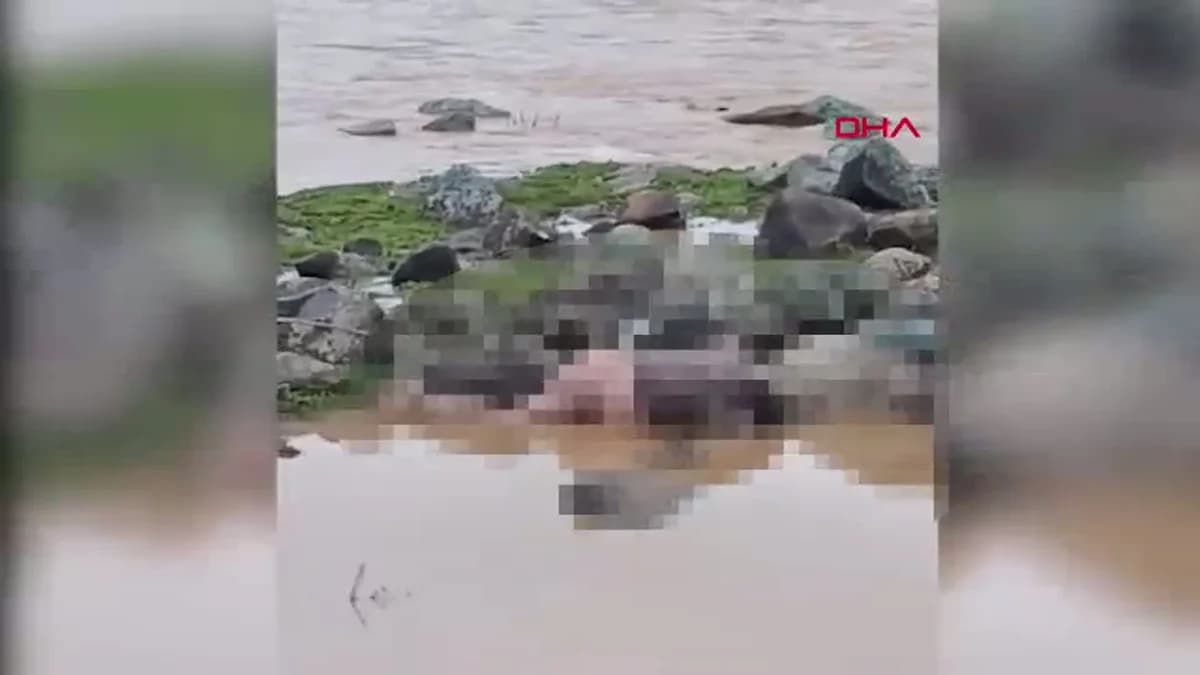 Şanlıurfa’da Derede Bulunan Erkek Cesediyle İlgili Soruşturma Başlatıldı