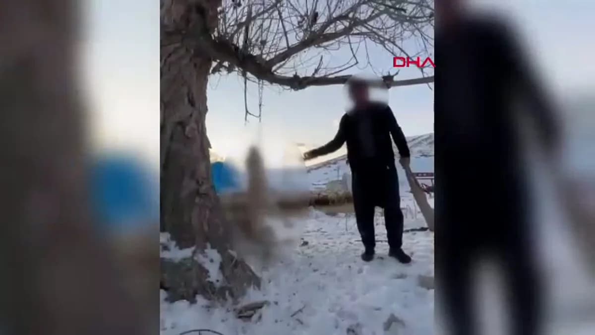 Kayseri’de Köpeğini Ağaca Asarak Öldüren Şahıs Tutuklandı