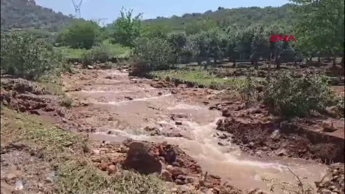 Adana’da Sel Felaketi: Bir Can Kaybı, Yıkım ve Gözyaşı