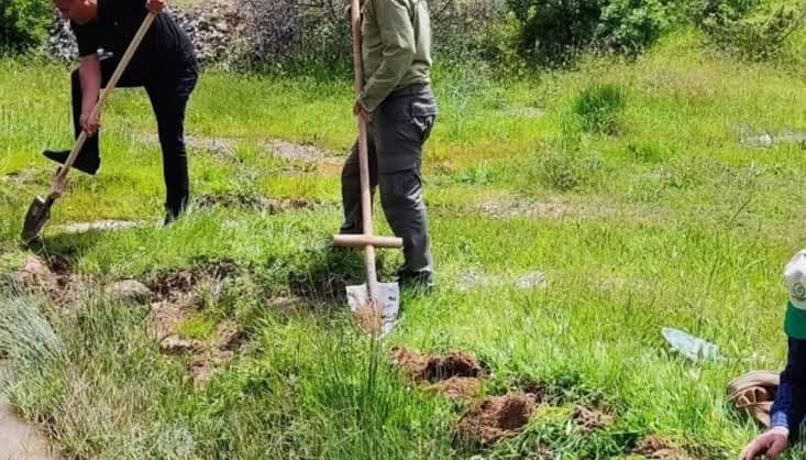 Bolu'da yasaklı yabani salep toplayan 3 kişiye 2 milyon liranın üzerinde ceza