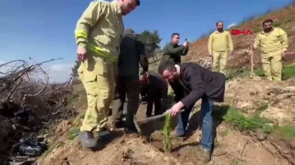 Bursa’nın Yanan Ormanlarına 8 Ayda 2 Milyon Fidan Dikildi