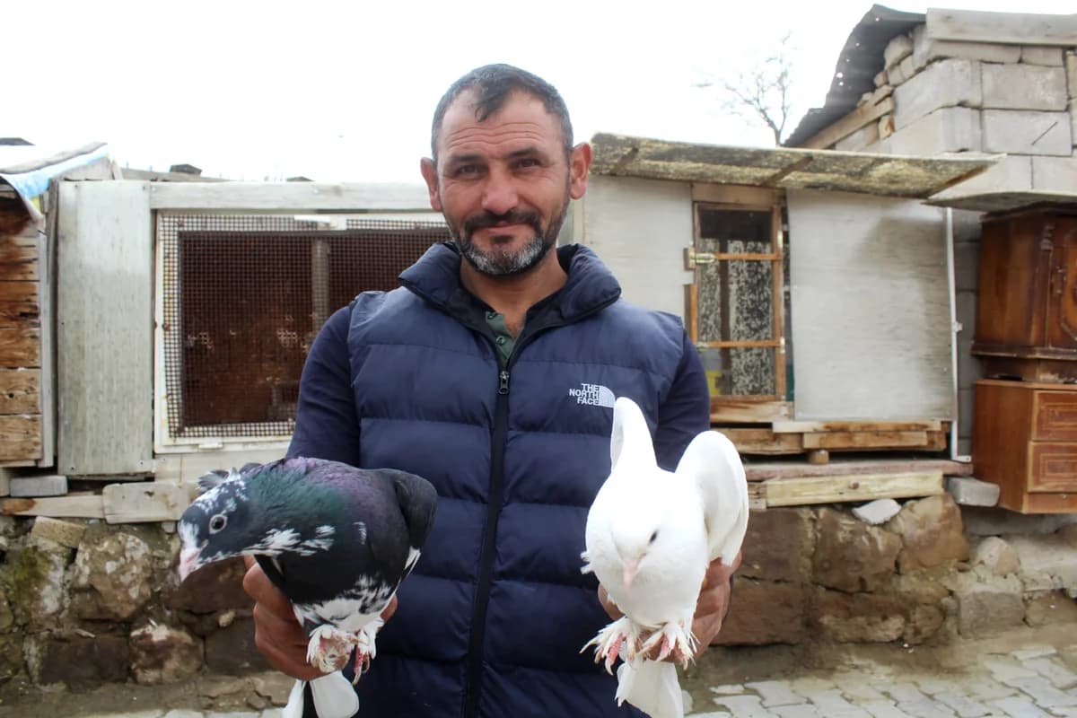 35 Yıldır Güvercin Besleyen Ahmet Çayabatmaz’ın Tutkusu