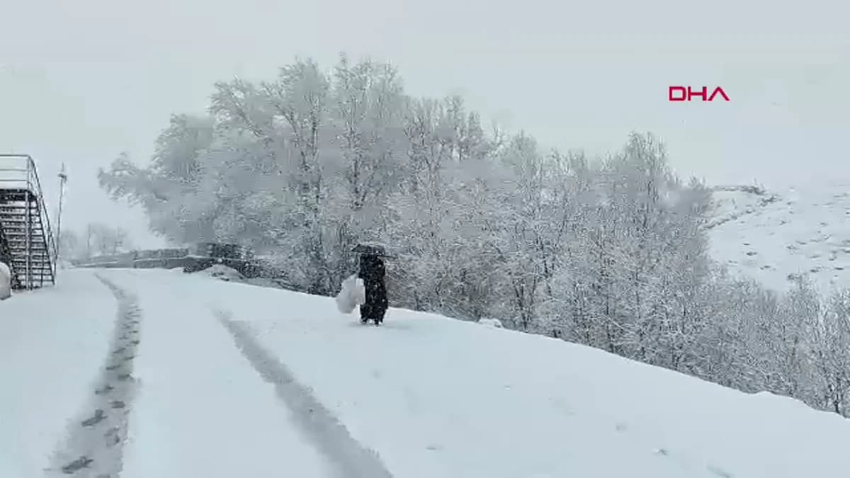 Bingöl’ün Karlıova İlçesinde Yoğun Kar Yağışı Etkili Oldu