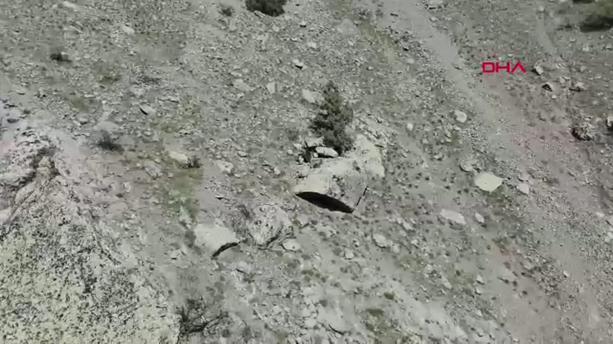 Erzurum’da Nefes Kesen Anlar: Bozayı ve Yavruları Dron ile Görüntülendi