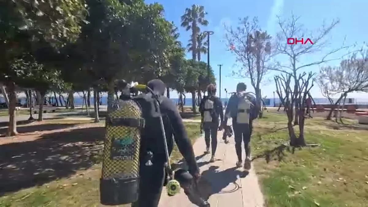 Antalya Körfezi’nde Şiddetli Poyraz, Denizanalarını Kıyıya Sürükledi