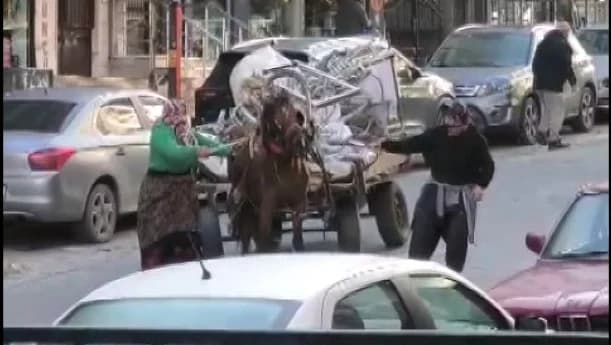 Avcılar’da Atın Şiddete Uğraması Kameralara Yansıdı