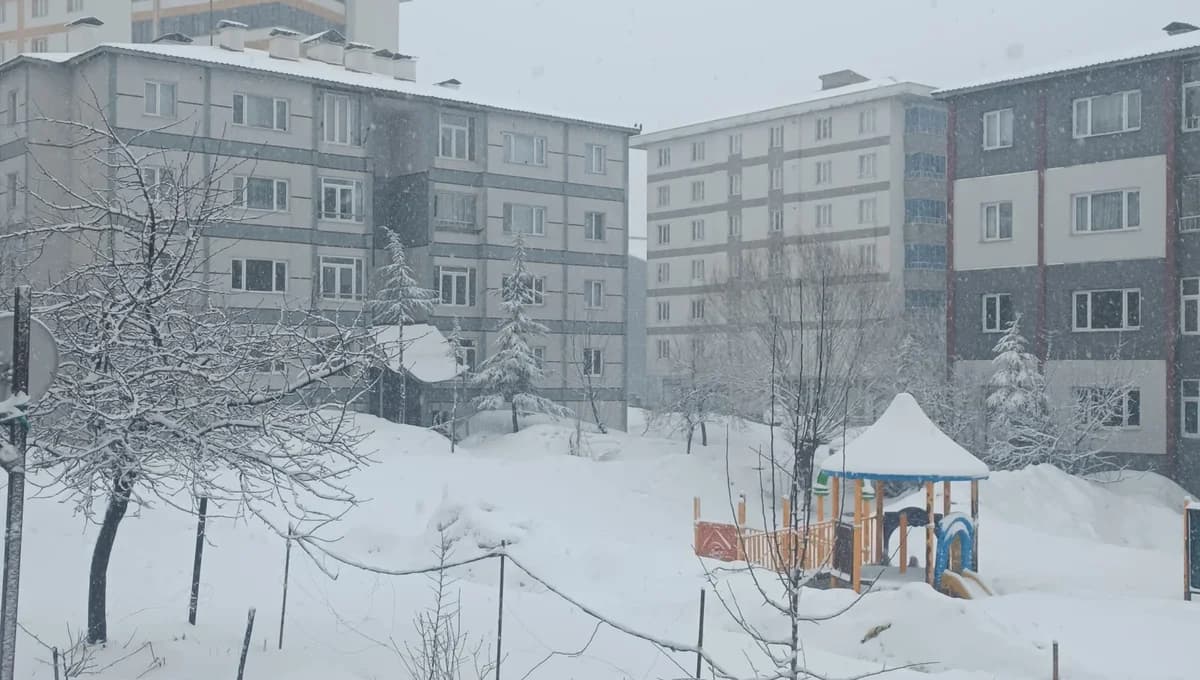 Bitlis’te Kar Yağışı Etkili Oldu