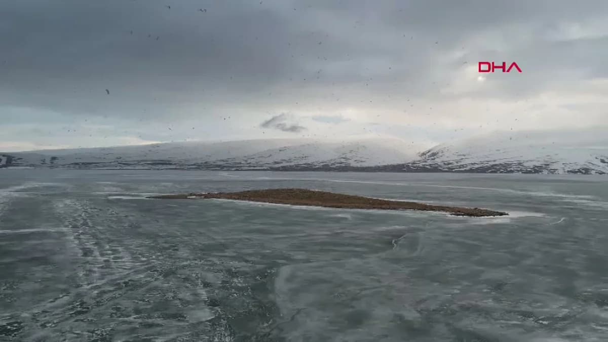 Kars-Çıldır Gölü İlkbaharda Kuş Cennetine Dönüştü: Göçmen Kuşlar Akın Etti