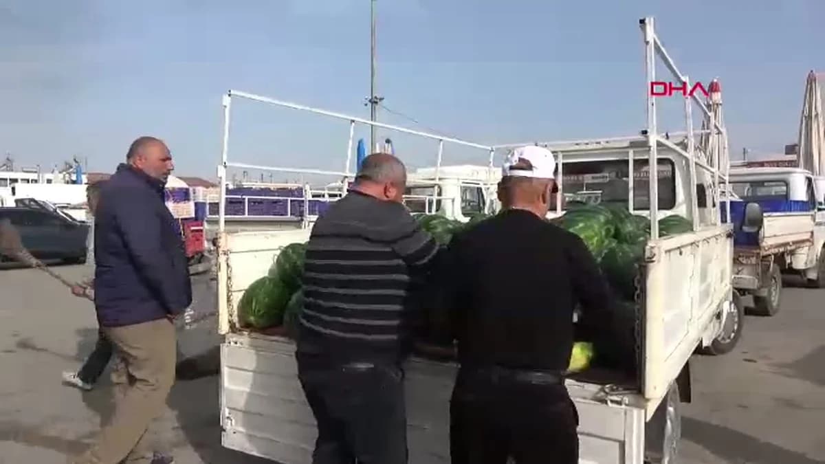 Antalya’da İlk Erkenci Karpuz Sezonu Başladı: Kilo Fiyatı 40 TL