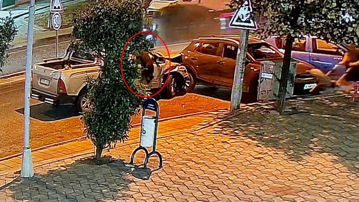 Çorlu’da Alkollü Sürücü Faciası: Köpek Camdan Fırladı!