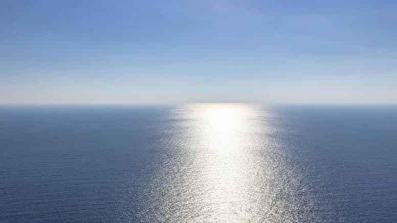 Dünya’da kıyısı olmayan tek deniz Sargasso