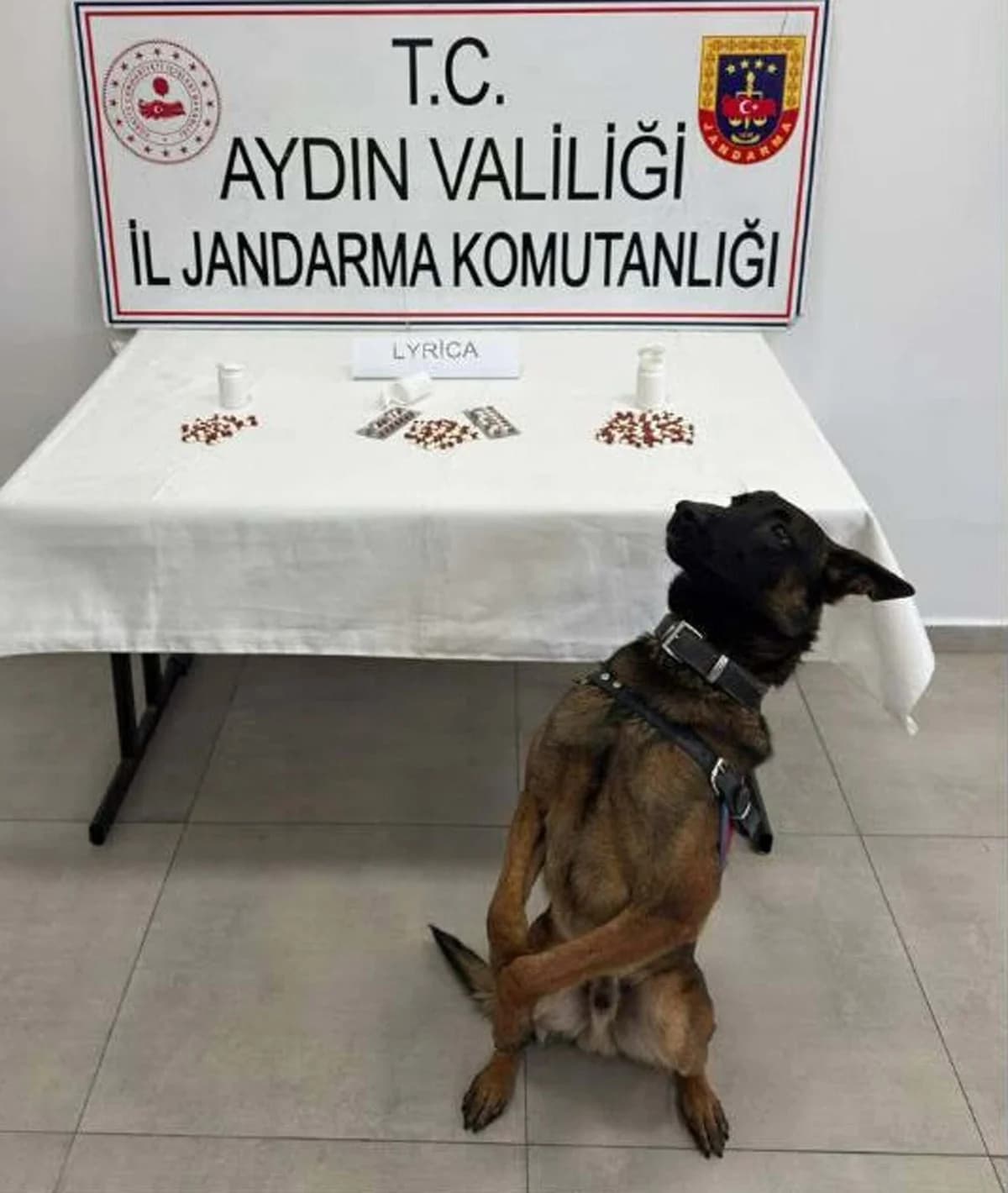 Aydın’da Uyuşturucu Operasyonu: 10 Kişi Tutuklandı