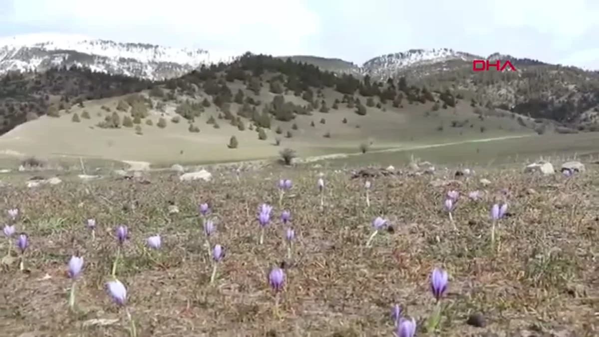 Erzurum’da Baharın Gelişini Kutlayan 20 Kilometrelik Yürüyüş